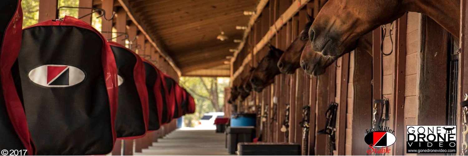 Erv Miller Stable banner