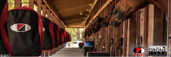 ErvMillerStable Profile Banner