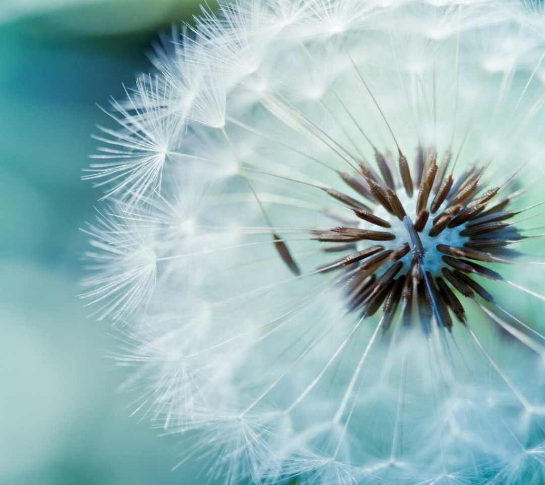 JenJen62171's profile banner image