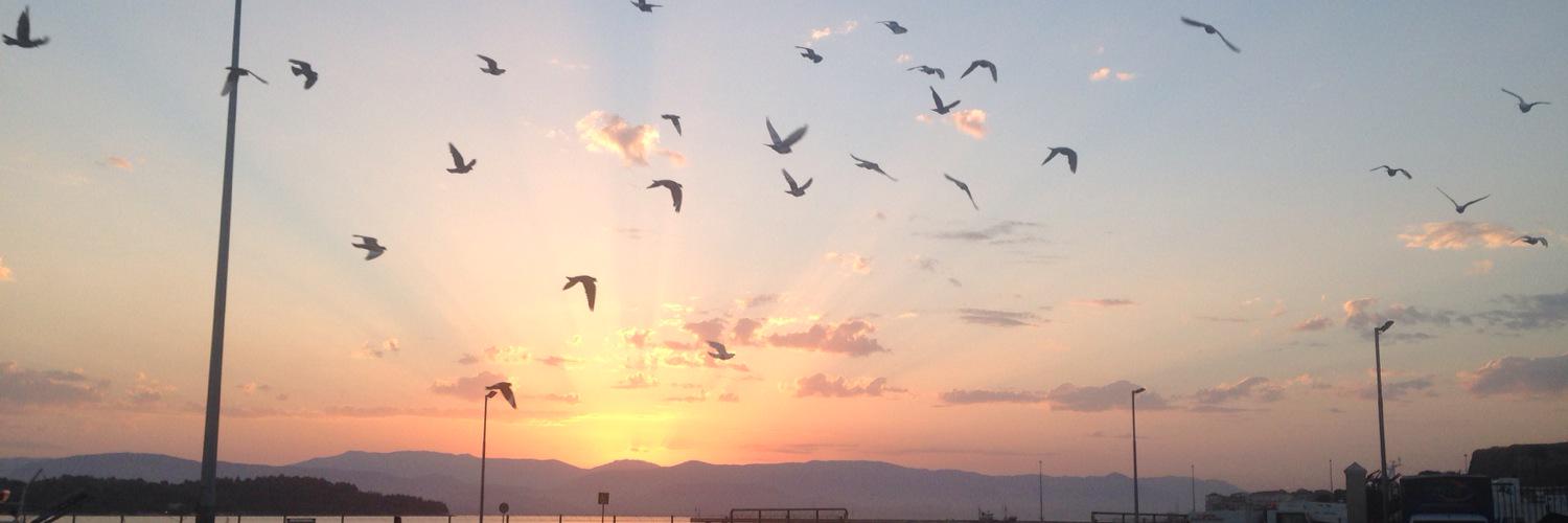heloise_tms's profile banner image