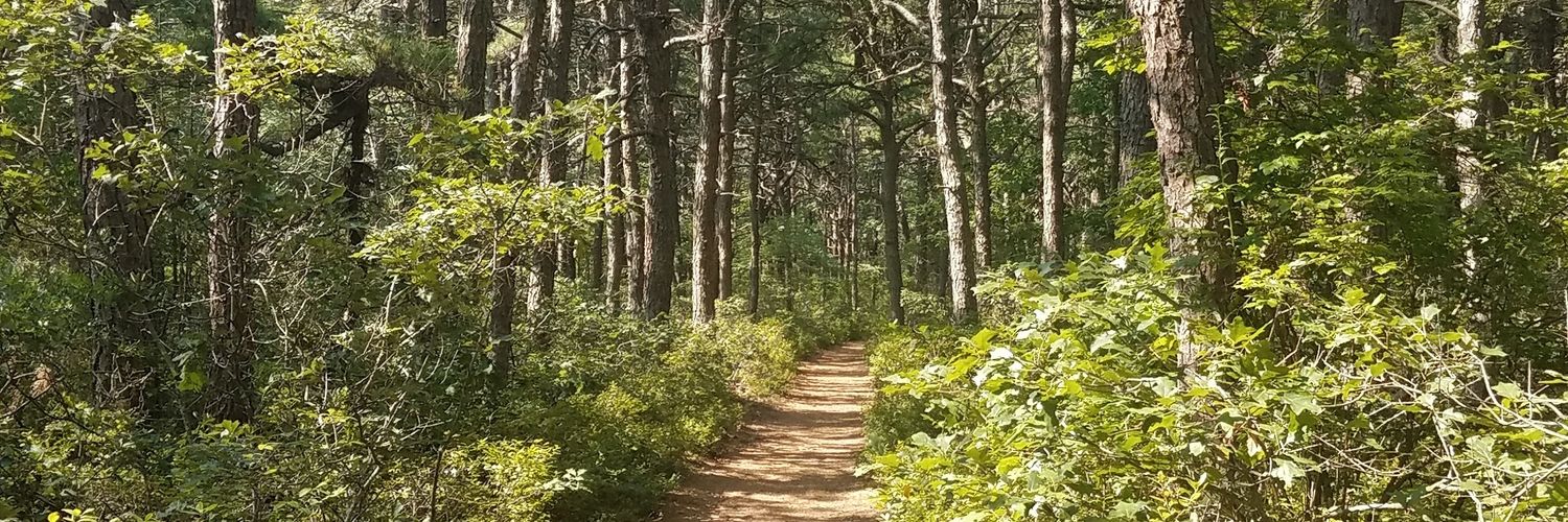 ConnorAntico's profile banner image