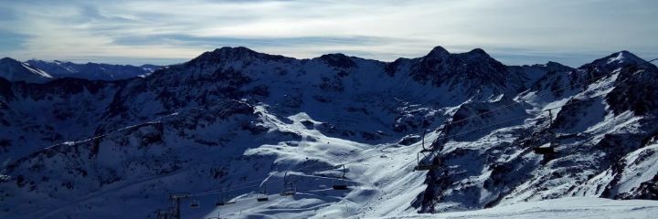 Paloma. banner