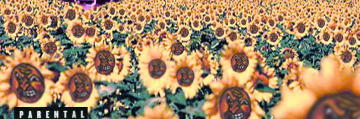 MATTOGROSSORAP's profile banner image
