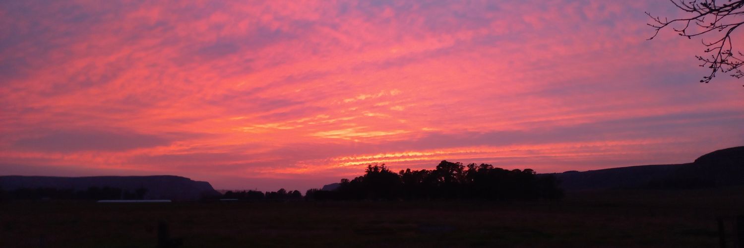 AngieVismara's profile banner image