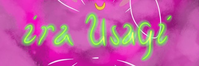 IraUsagi's profile banner image
