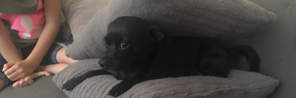 KehrerSarah's profile banner image
