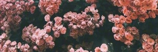 Caityy_Walter's profile banner image