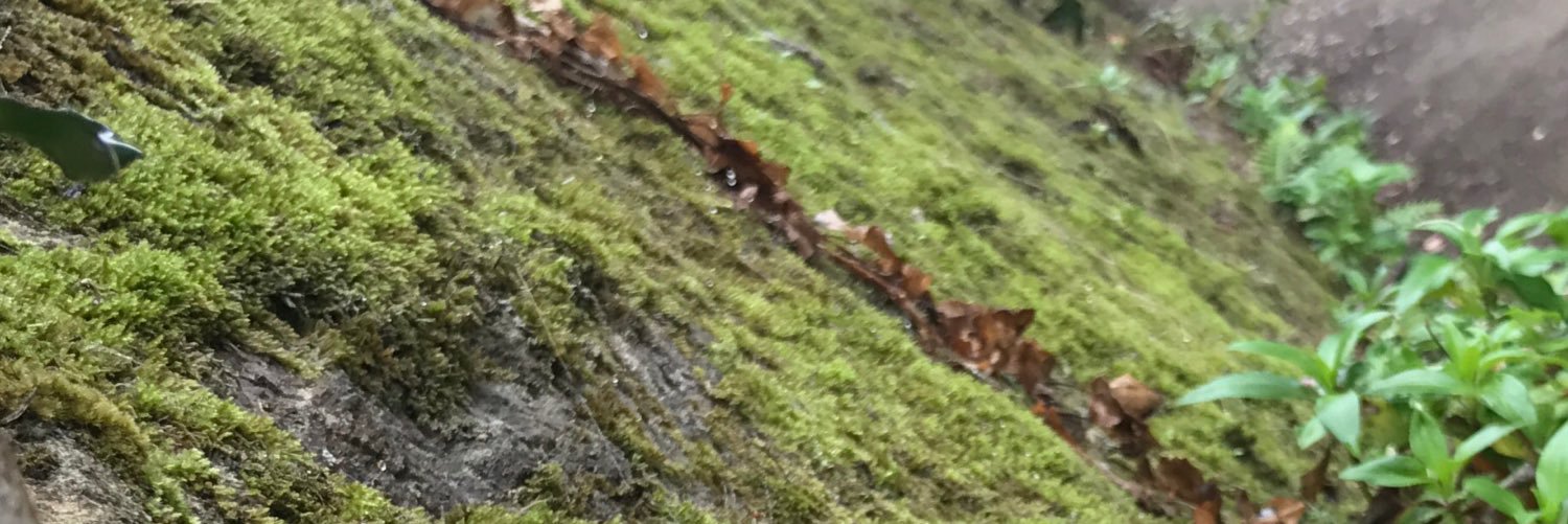 WhyIllnot's profile banner image