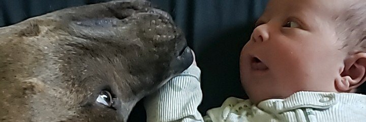 The1ValPal's profile banner image