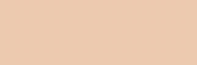 luanaborg3s's profile banner image