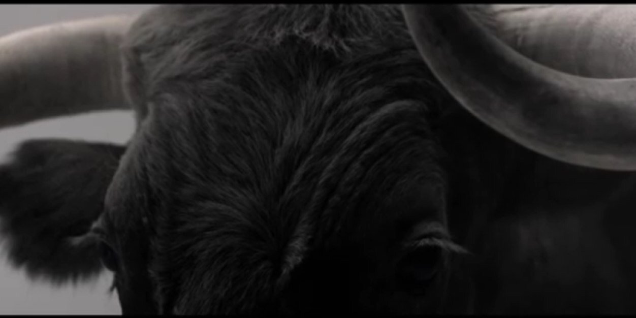 luisevildoer's profile banner image