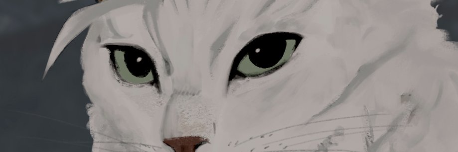DrawMJ's profile banner image