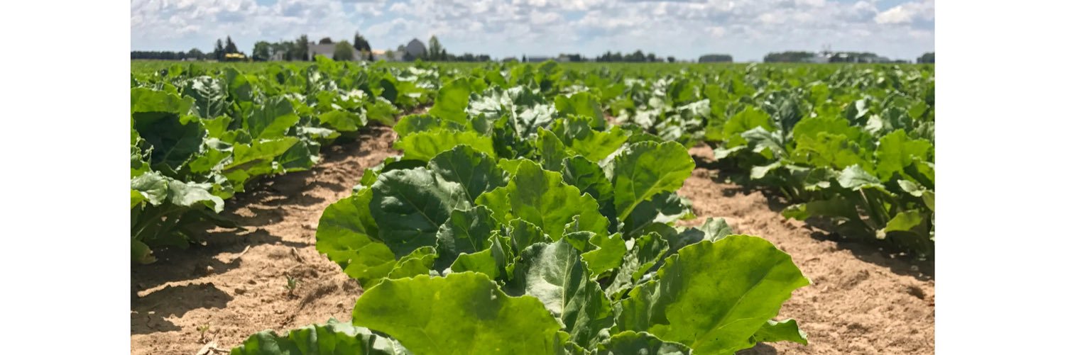 Hilaree Fraly banner