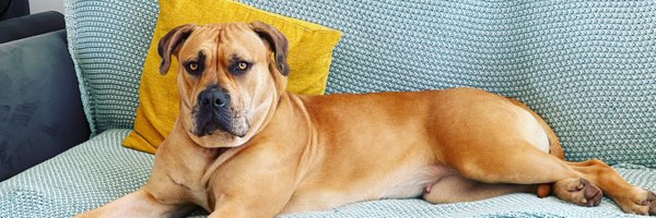 dan325i Profile Banner