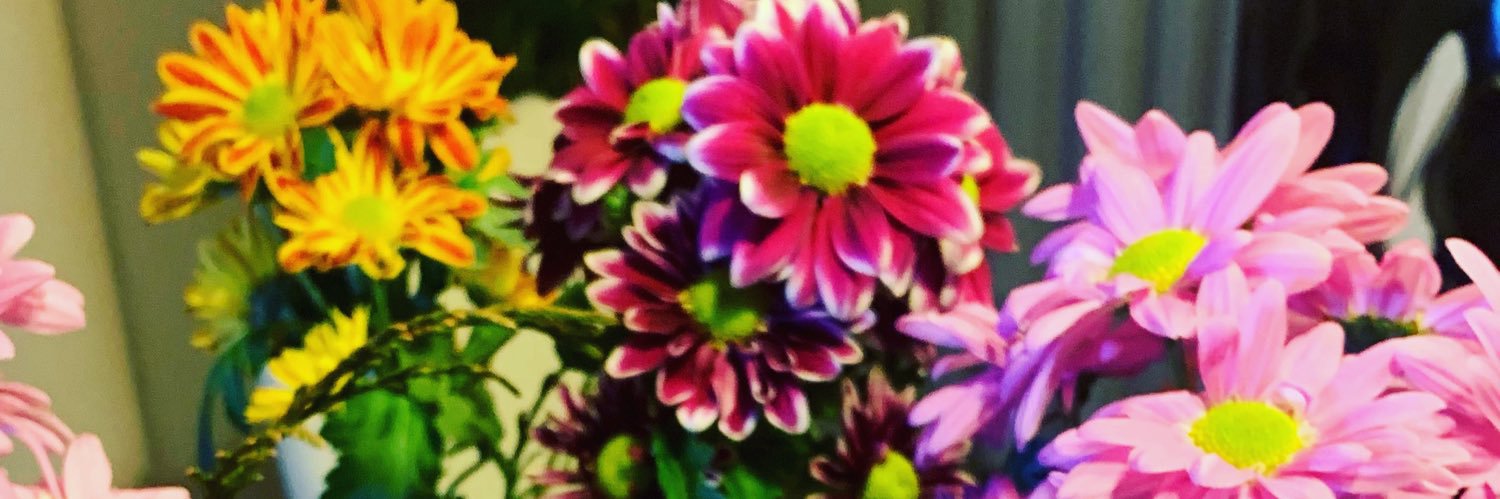 suxan29's profile banner image