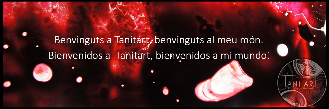 Tanitart's profile banner image