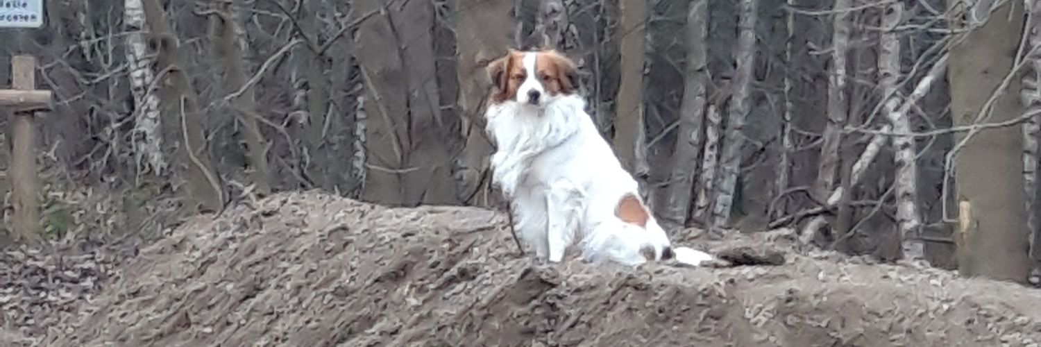 bezorgdeburgerh's profile banner image