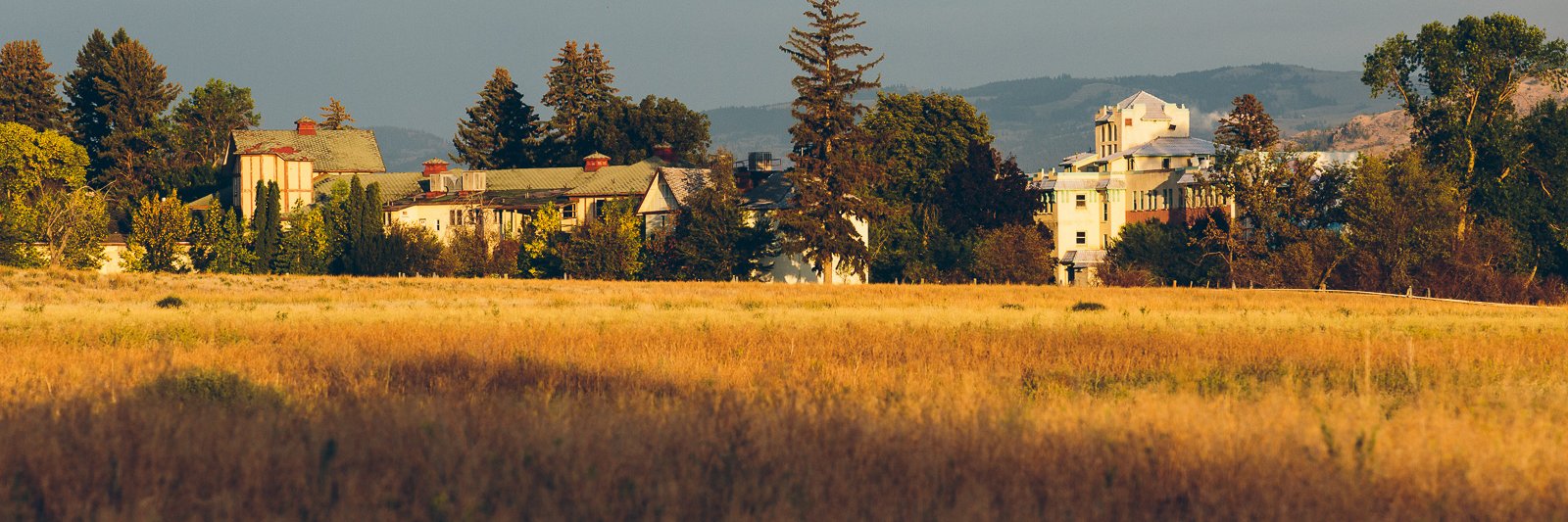 tranquilleFarmF's profile banner image