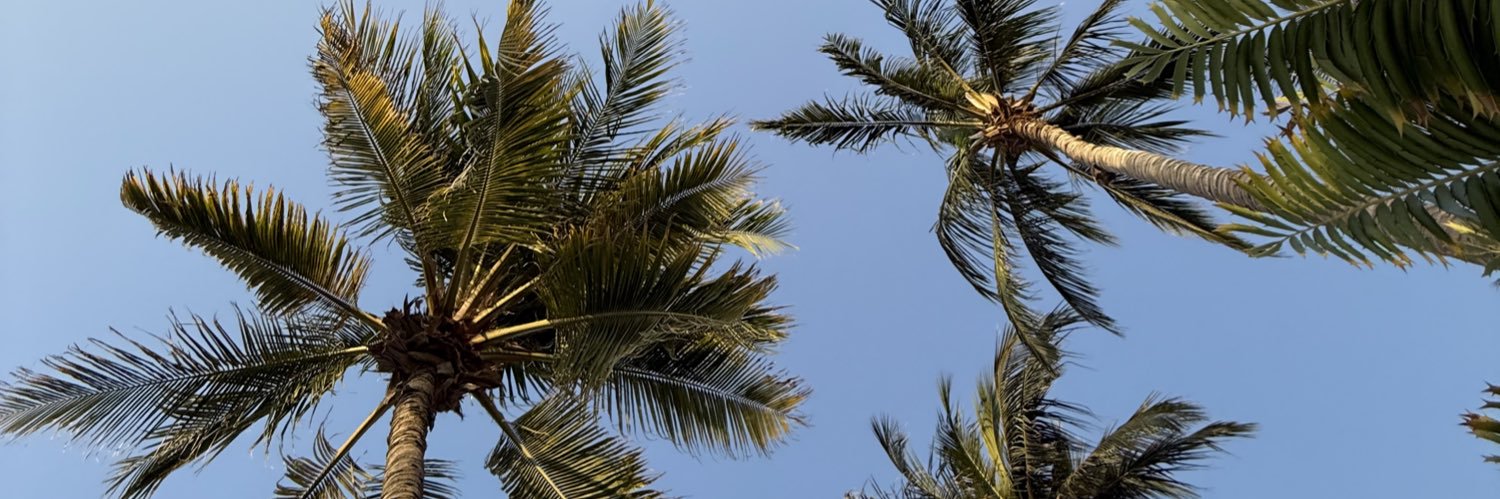 hxbibix's profile banner image