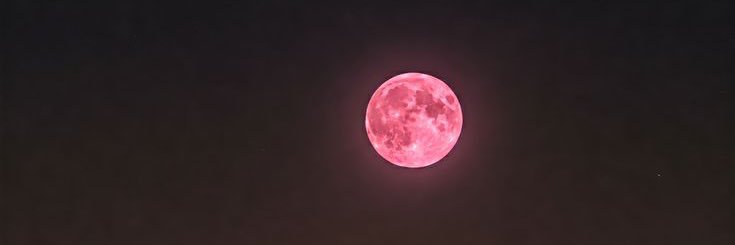 hiblink's profile banner image