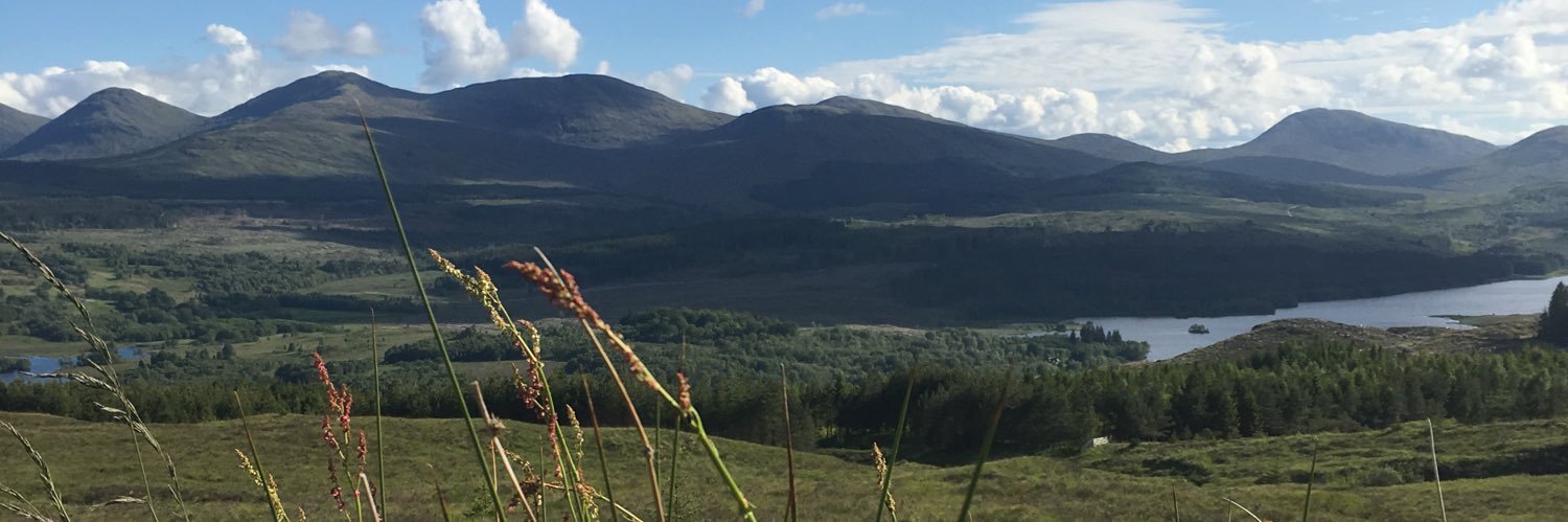 EdenRamsay's profile banner image