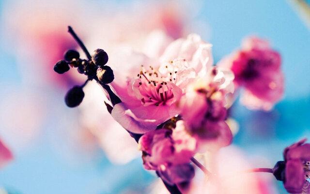 hellooooohun's profile banner image