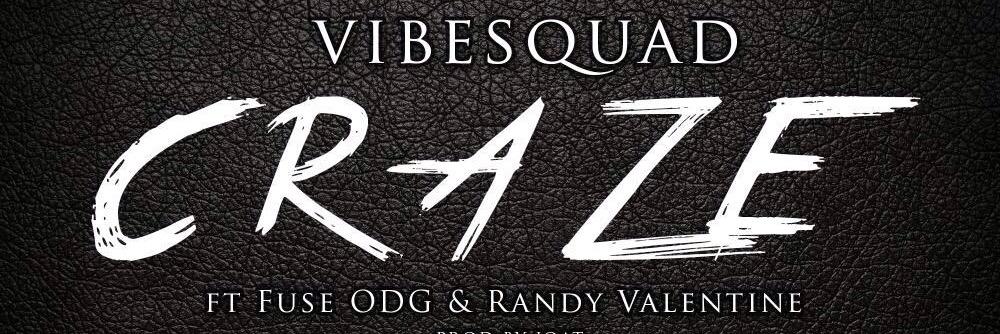 TeamVibeSquad's profile banner image