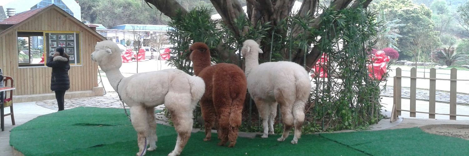 Arbain Muhayat banner