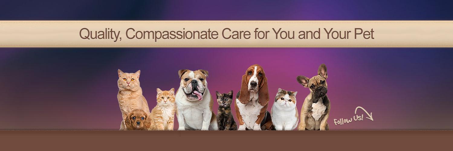Ark_Vet's profile banner image