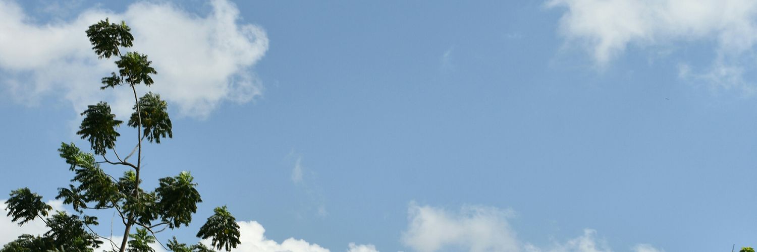 BergSoren's profile banner image