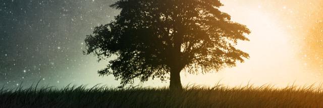 jannycooll's profile banner image