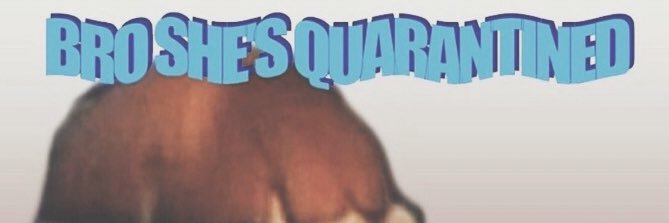 shainapalms's profile banner image