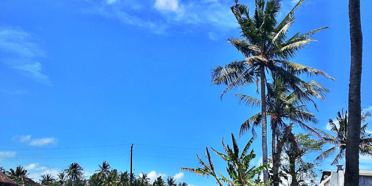dusunkalangan's profile banner image