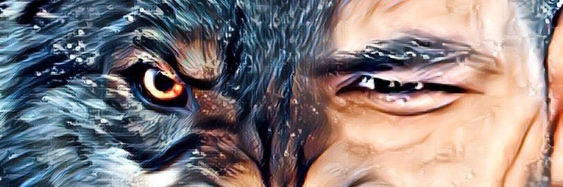 DgsCpn's profile banner image