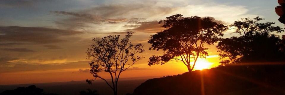 EBagatelli's profile banner image