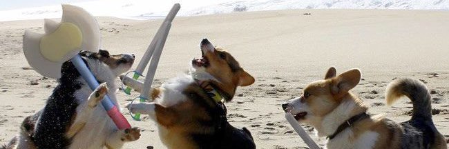 ErickSoClueless's profile banner image
