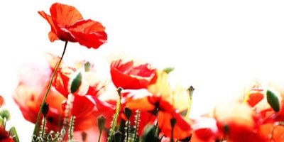 MelnCorazn's profile banner image