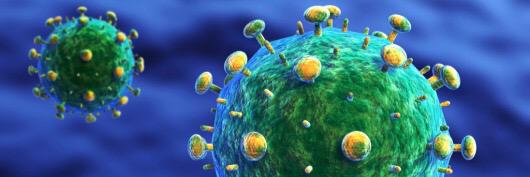 Talia H. Swartz banner