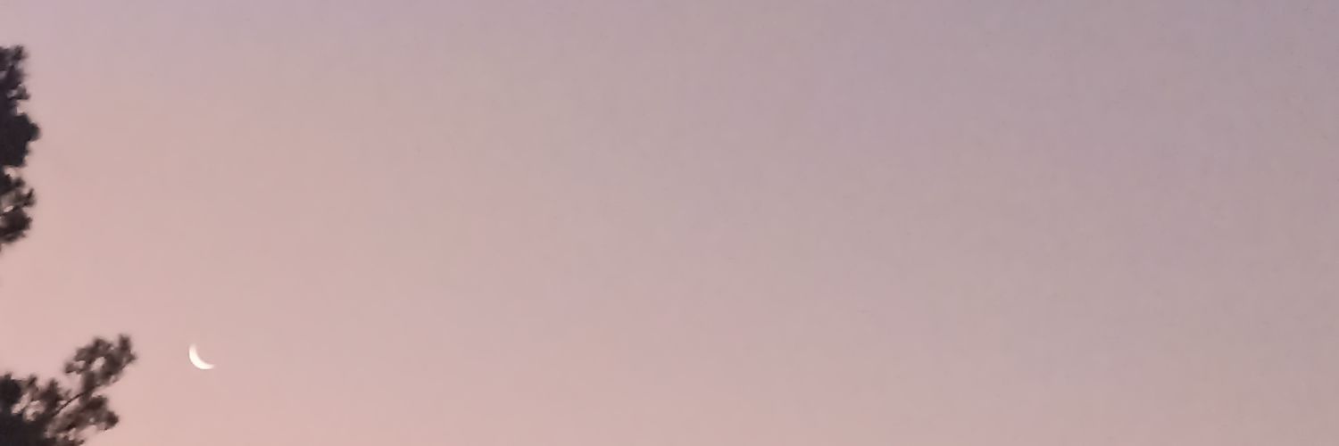 ramirezpili_M's profile banner image