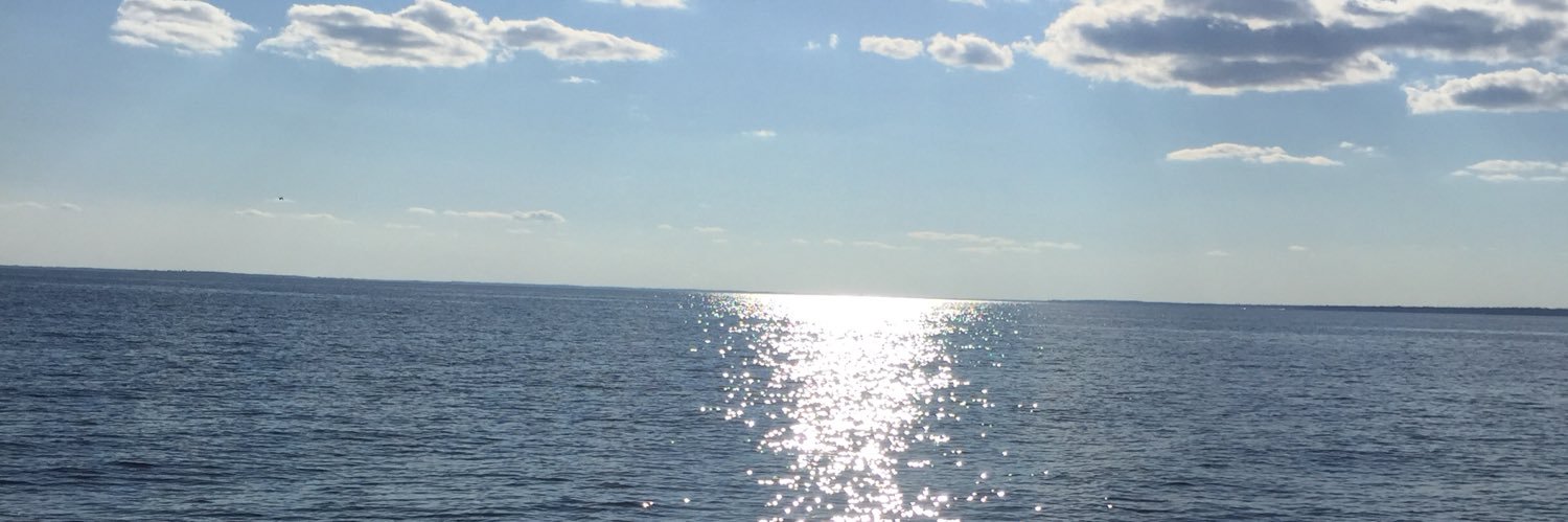 Jen_StC's profile banner image