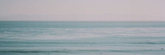 TorikaW's profile banner image