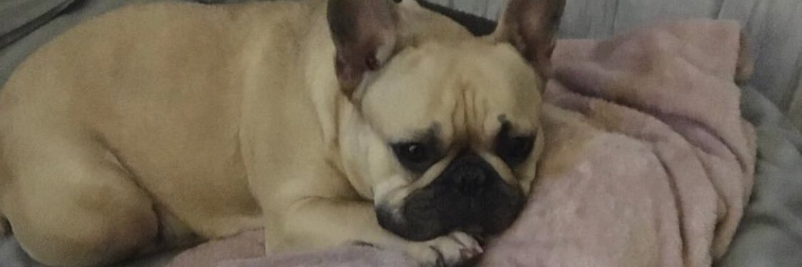 scott_mrtly's profile banner image