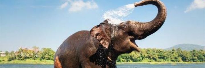 Veroreyes_'s profile banner image
