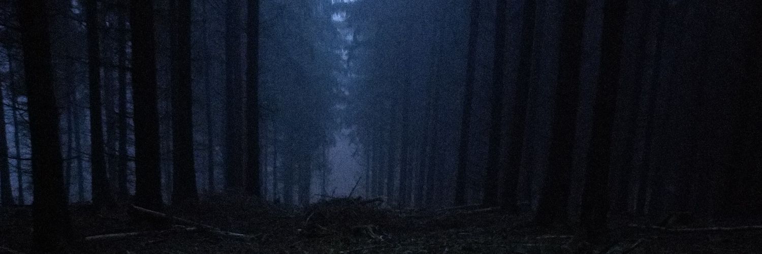 Freizeitananas's profile banner image