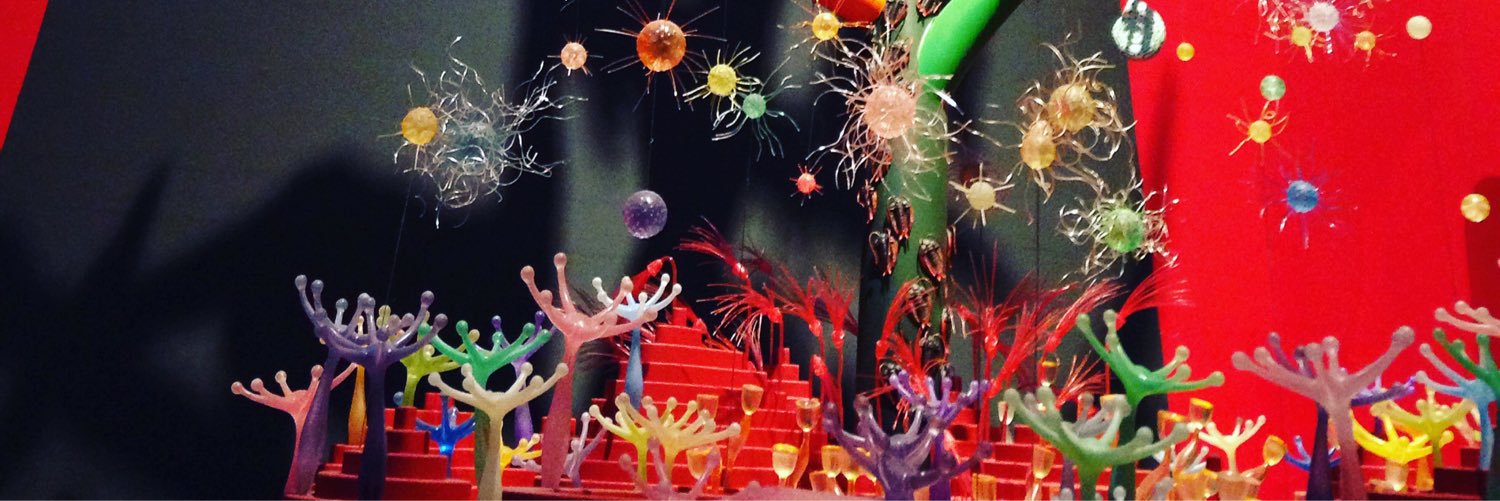 辻 伸弘 (nobuhiro tsuji) banner