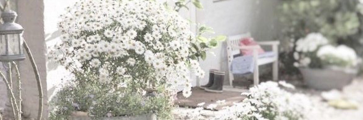 TootsMag1's profile banner image