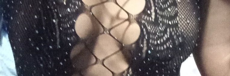 Cat banner