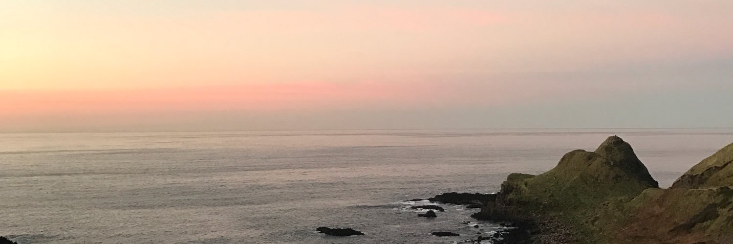 sequinista's profile banner image