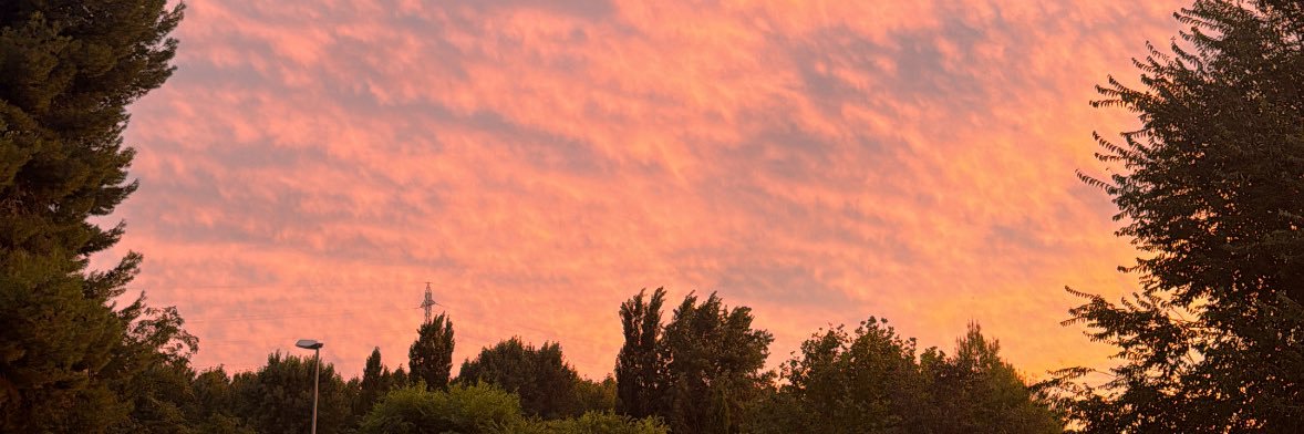 L banner