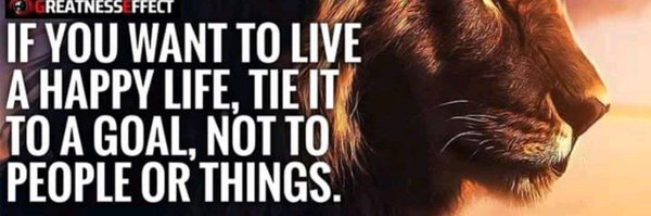 fadafada Profile Banner